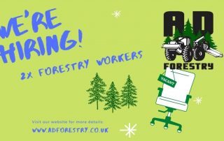 Forestry Maintenance Workers