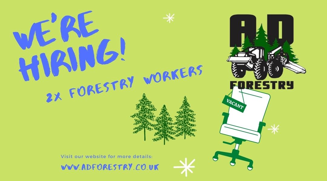 Forestry Maintenance Workers